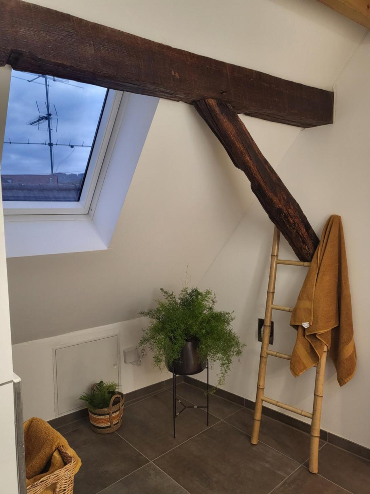 באלינגן Ferienwohnung Im Rebstock Nr.1 מראה חיצוני תמונה